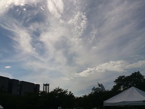 明日、明後日はロハスフェスタです