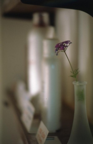 フイルム