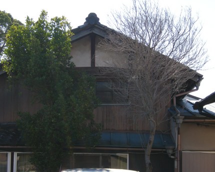 生と死