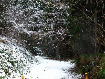 雪
