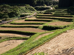 琵琶湖一周