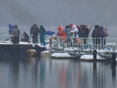 雪景色