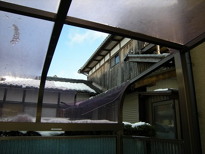 雪の被害