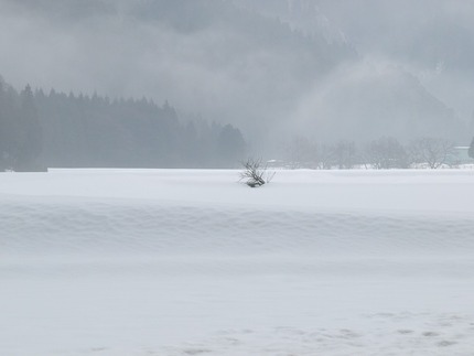雪景色
