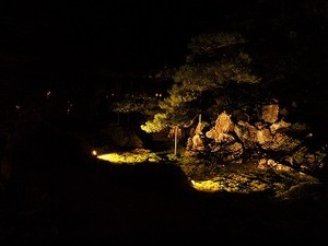 青岸寺のライトアップ