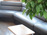６月の定休日