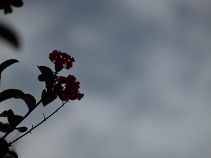 １０月の定休日