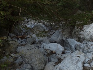 廃村