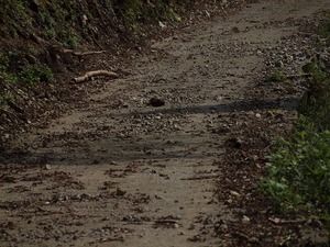 廃村