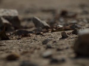 廃村