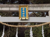 初詣