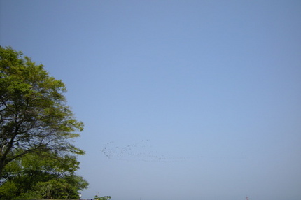 空
