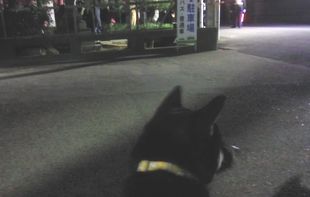 2016年が明けましたーーー！