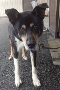 最近している事は・・