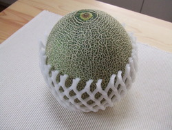頂き物！