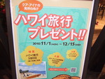 ハワイ旅行プレゼント！