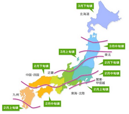 ゲゲゲ、ヤツが来る!!