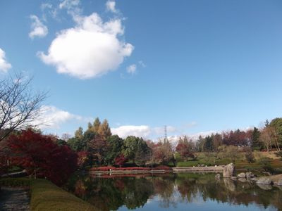 紅葉フォトにチャレンジしてみたけど･･･。