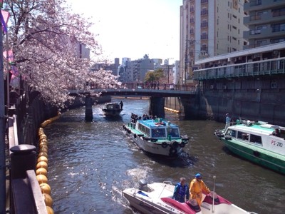 初夏の陽気だと!?