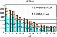 迷子にしないで、すてないで・・