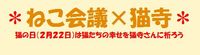 京都猫カフェ×猫寺イベント