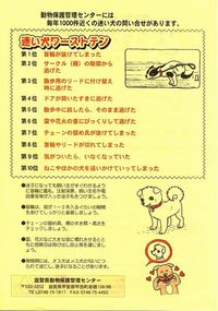 迷い犬になってしまう理由ワースト１０