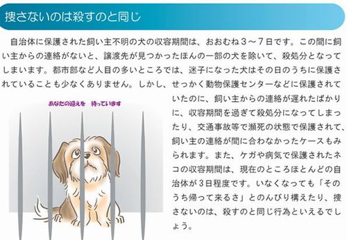 環境省再飼育支援・迷子になってしまったら