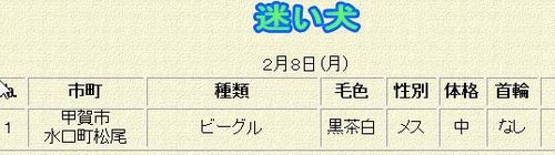 ＊迷い犬・ねこ情報＊　滋賀県動物保護管理センター