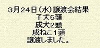 犬・猫の譲渡会の結果＊（３月２４日分）