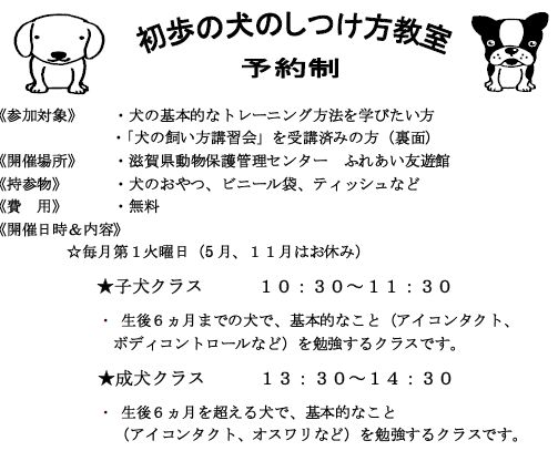 初歩の犬のしつけ方教室