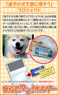 迷子の犬を家に帰そうＰＪ