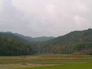染まる紫香楽