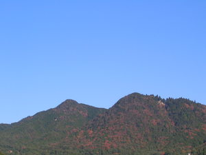 極月