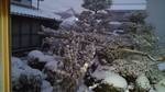 ２０１５年　大雪　１月１日（木）～１月２日（金）