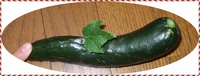 胡瓜にビックリ