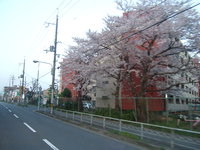 ４月5日（金）