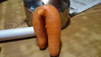 面白い形の野菜