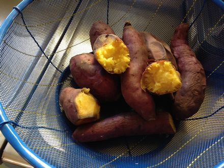 昨日は大寒でした！
