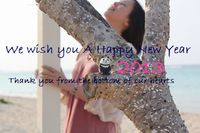 2013年になりました☆