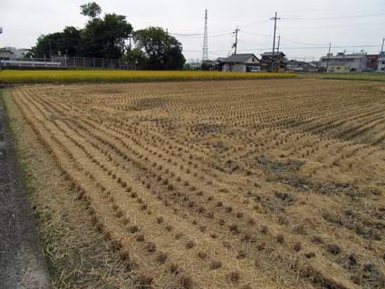 伏見 酒蔵界隈をぶらり！