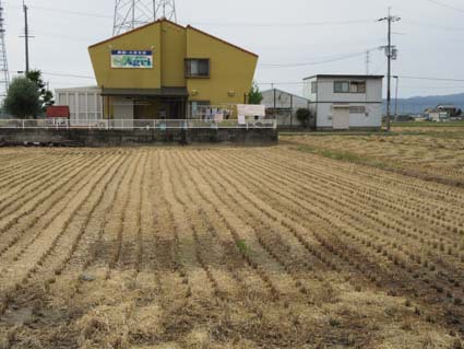 伏見 酒蔵界隈をぶらり！