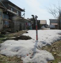 雪の残ってるエリアがどんどん狭まってきました。