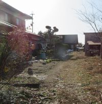 雪、なくなりました。
