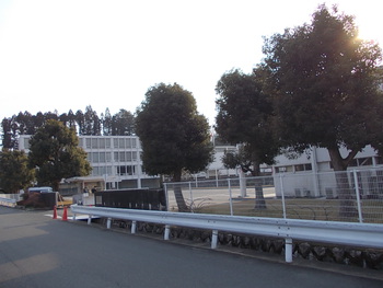 美と技の最高峰、川島織物本社工場見学