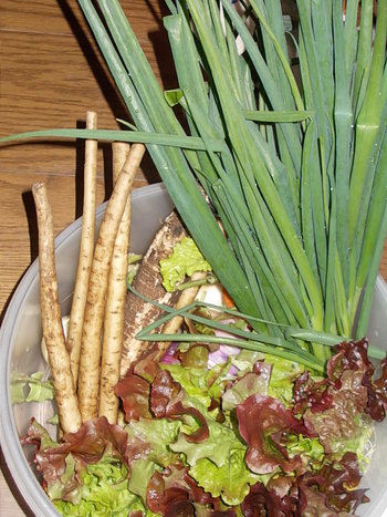 今冬は本当に寒いです･･･野菜の生育に影響が･･･