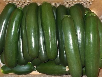 夏野菜の収穫・出荷