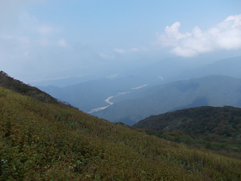 伊吹山薬草観察会
