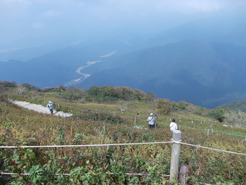 伊吹山薬草観察会