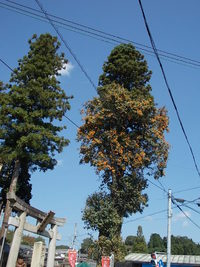 信楽まちなか芸術祭