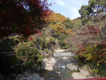伏尾温泉の紅葉　大阪府池田市